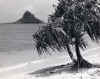 Chinaman's Hat.jpg (126321 bytes)